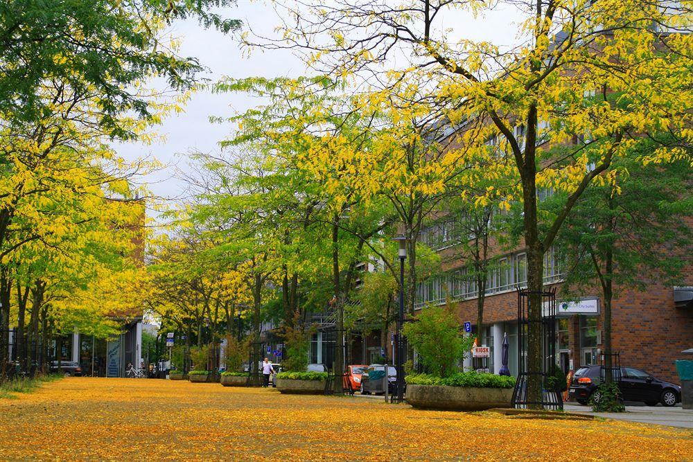 Essen City Suites Hotel 3*